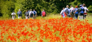  Group hike